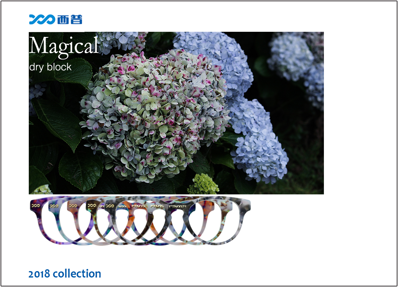 2018 collection of Magical